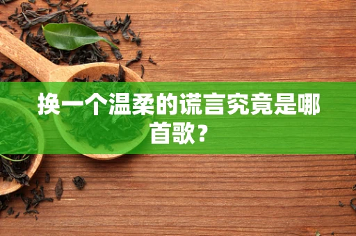 换一个温柔的谎言究竟是哪首歌？