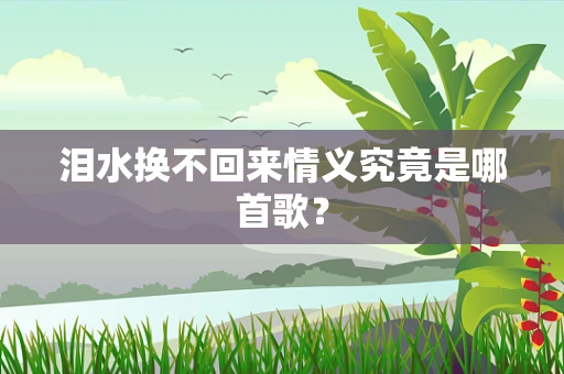 泪水换不回来情义究竟是哪首歌？