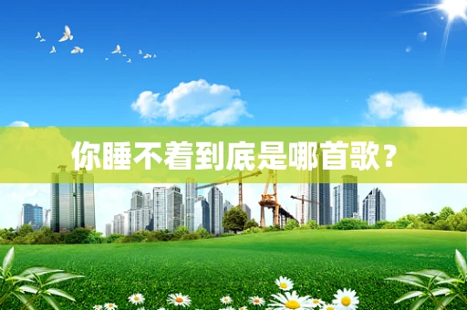 你睡不着到底是哪首歌？