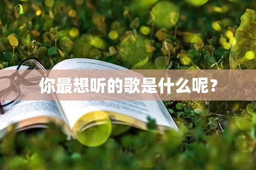 你最想听的歌是什么呢？