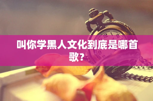 叫你学黑人文化到底是哪首歌？