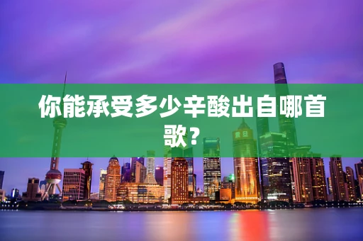 你能承受多少辛酸出自哪首歌？