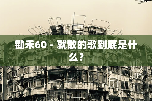 锄禾60 - 就散的歌到底是什么？