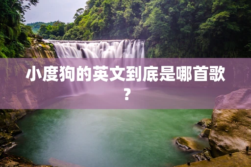 小度狗的英文到底是哪首歌？