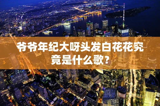 爷爷年纪大呀头发白花花究竟是什么歌？