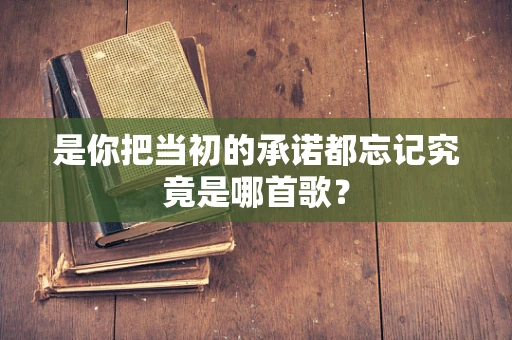 是你把当初的承诺都忘记究竟是哪首歌？