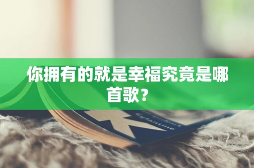 你拥有的就是幸福究竟是哪首歌？