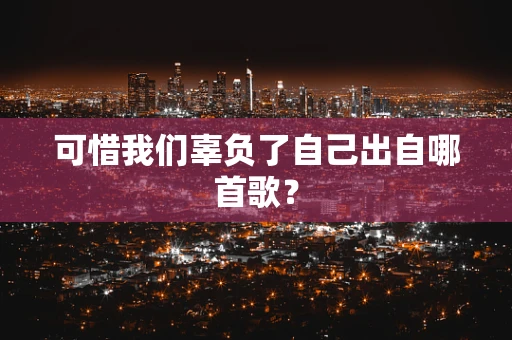 可惜我们辜负了自己出自哪首歌？