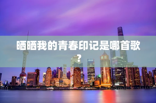 晒晒我的青春印记是哪首歌？