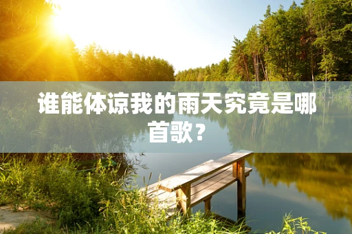谁能体谅我的雨天究竟是哪首歌？