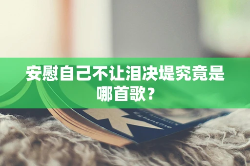 安慰自己不让泪决堤究竟是哪首歌？