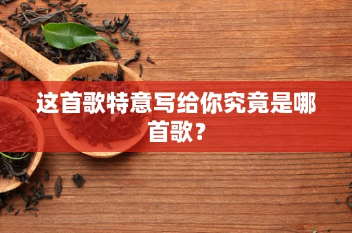这首歌特意写给你究竟是哪首歌？
