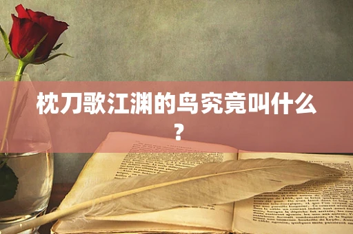 枕刀歌江渊的鸟究竟叫什么？