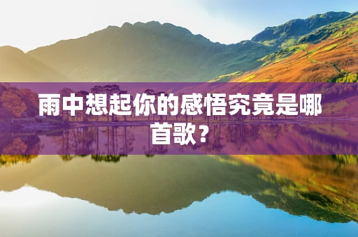 雨中想起你的感悟究竟是哪首歌？
