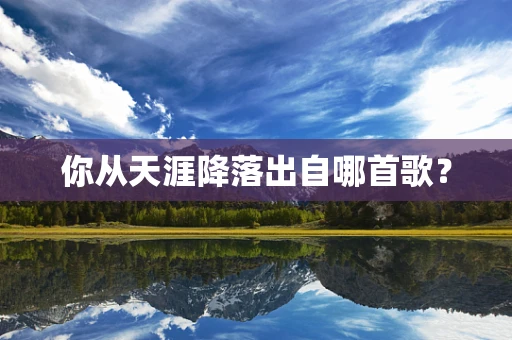你从天涯降落出自哪首歌？