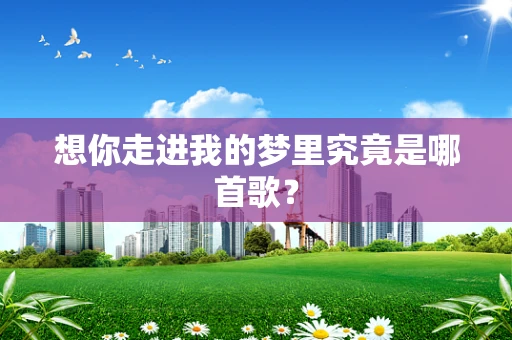 想你走进我的梦里究竟是哪首歌？