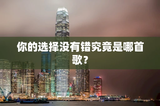 你的选择没有错究竟是哪首歌？