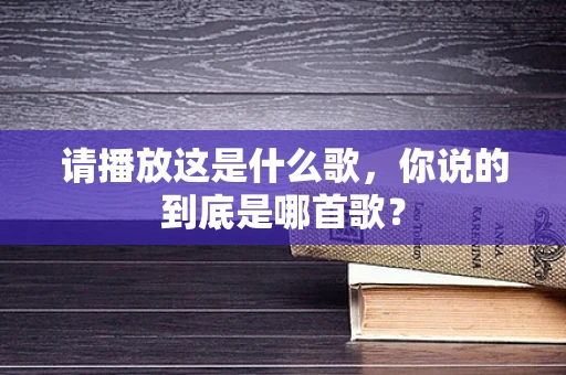 请播放这是什么歌，你说的到底是哪首歌？