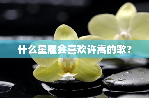 什么星座会喜欢许嵩的歌？