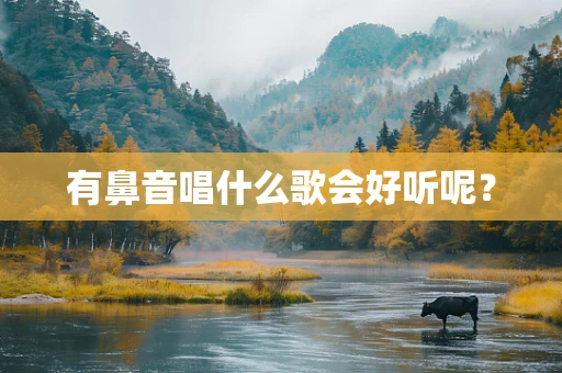 有鼻音唱什么歌会好听呢？