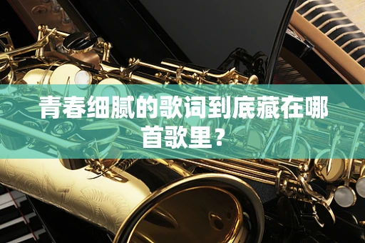 青春细腻的歌词到底藏在哪首歌里？