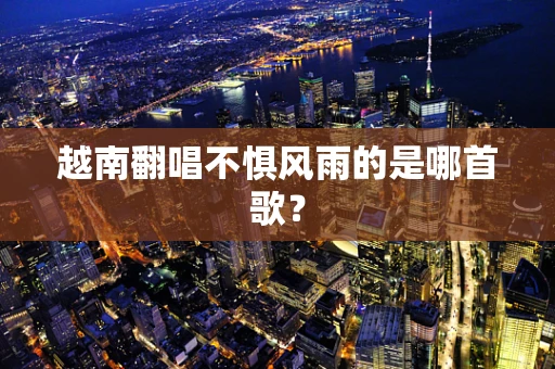 越南翻唱不惧风雨的是哪首歌？