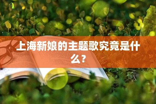 上海新娘的主题歌究竟是什么？