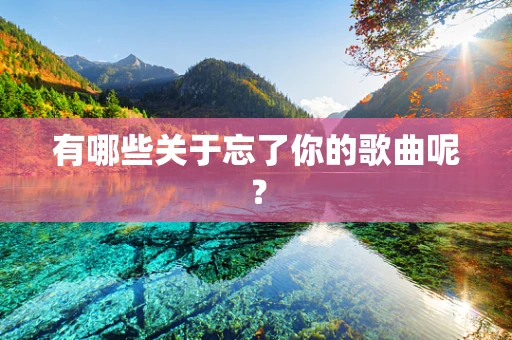 有哪些关于忘了你的歌曲呢？