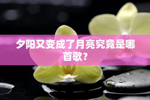 夕阳又变成了月亮究竟是哪首歌？