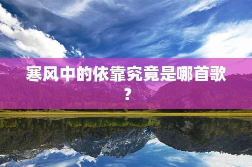 寒风中的依靠究竟是哪首歌？