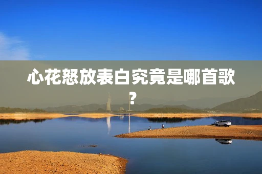 心花怒放表白究竟是哪首歌？