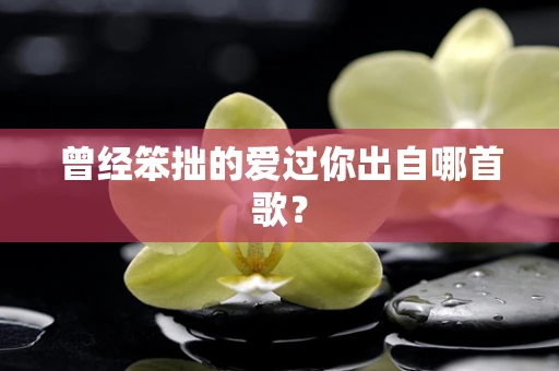 曾经笨拙的爱过你出自哪首歌？