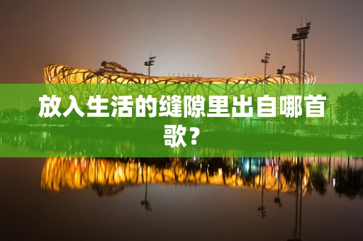 放入生活的缝隙里出自哪首歌？
