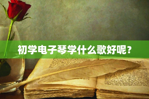 初学电子琴学什么歌好呢？