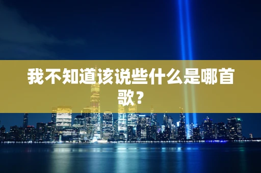 我不知道该说些什么是哪首歌？