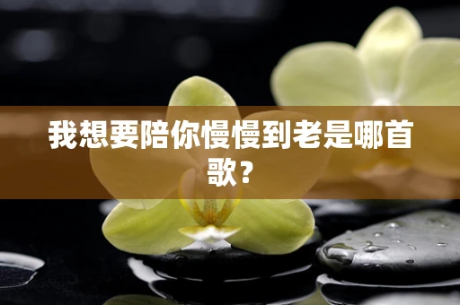 我想要陪你慢慢到老是哪首歌？