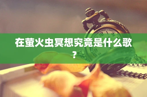 在萤火虫冥想究竟是什么歌？