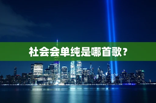社会会单纯是哪首歌？
