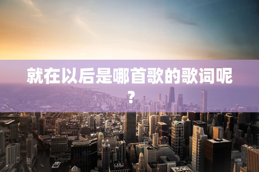 就在以后是哪首歌的歌词呢？