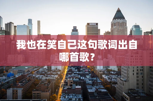 我也在笑自己这句歌词出自哪首歌？