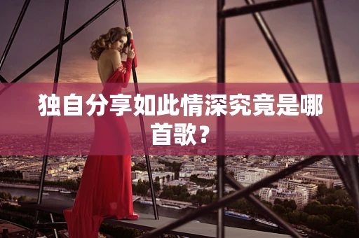独自分享如此情深究竟是哪首歌？
