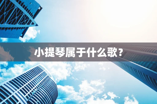 小提琴属于什么歌？