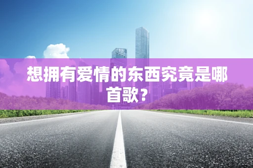 想拥有爱情的东西究竟是哪首歌？