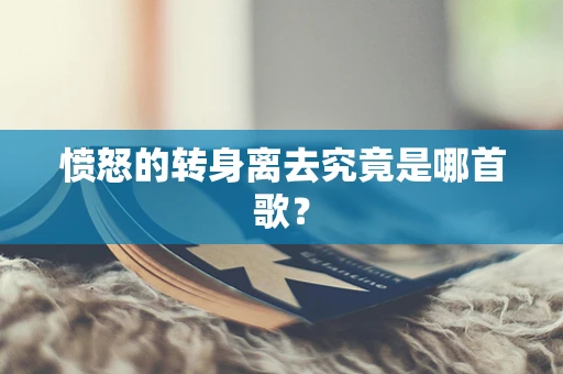 愤怒的转身离去究竟是哪首歌？