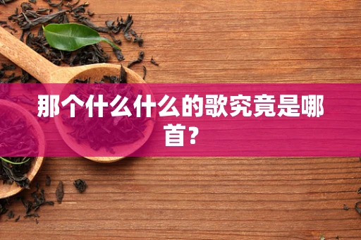 那个什么什么的歌究竟是哪首？