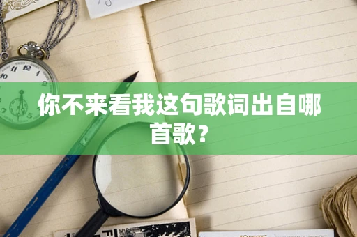 你不来看我这句歌词出自哪首歌？