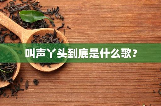 叫声丫头到底是什么歌？