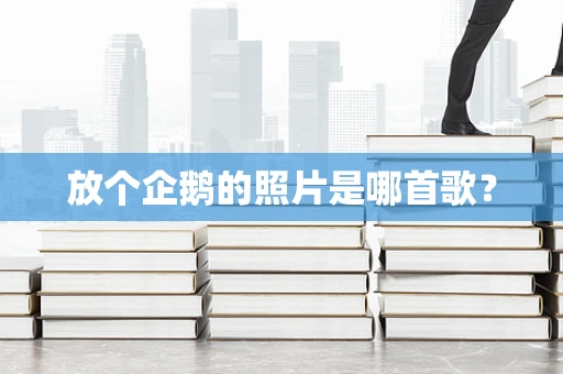 放个企鹅的照片是哪首歌？