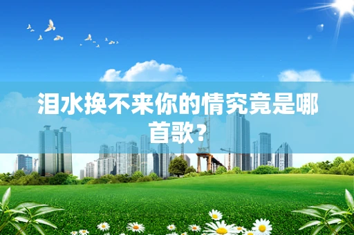 泪水换不来你的情究竟是哪首歌？