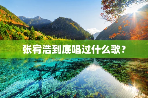 张宥浩到底唱过什么歌？